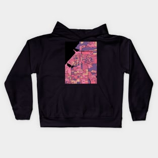 Anchorage Map Pattern in Purple & Pink Kids Hoodie